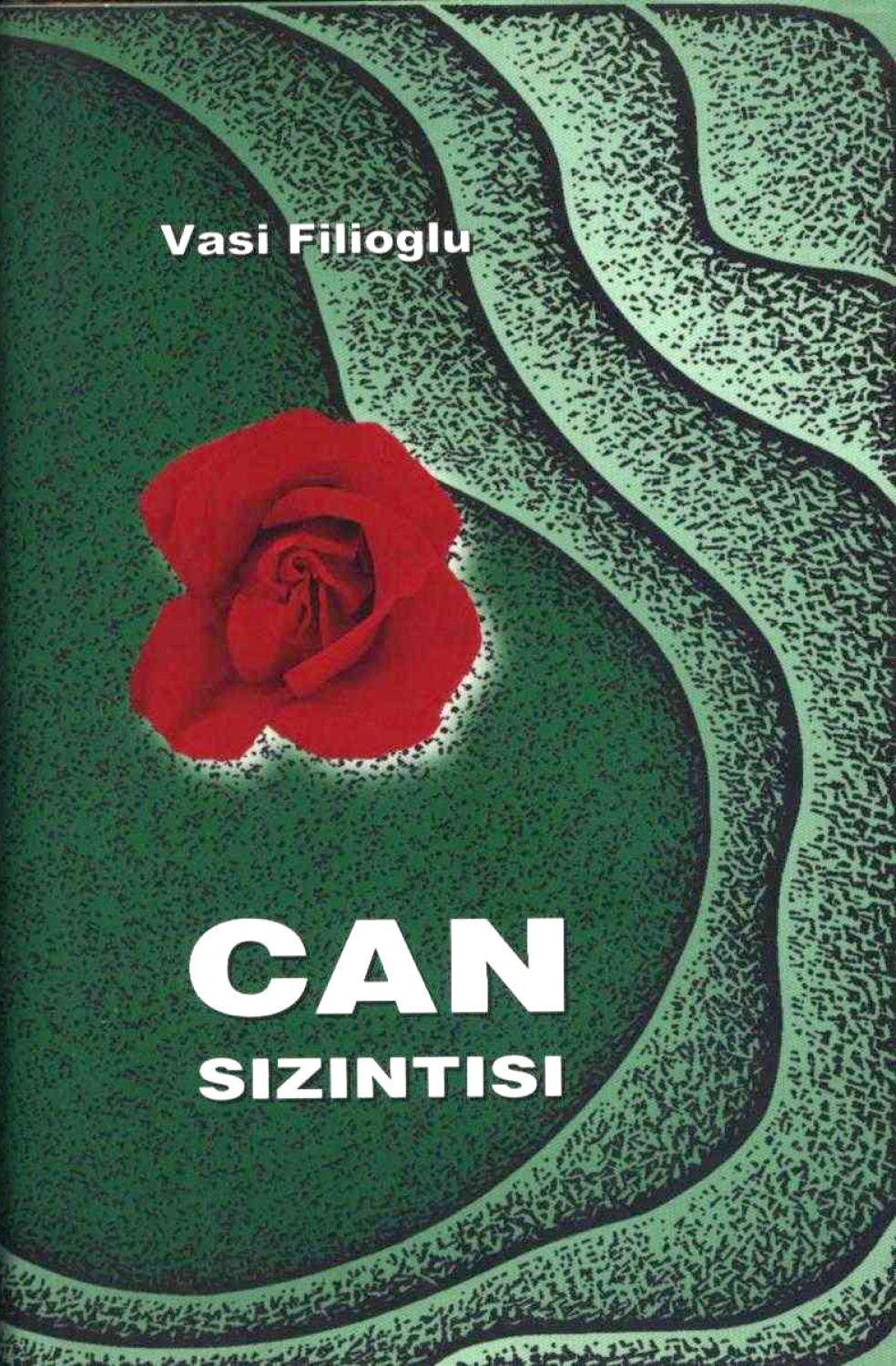 Can sızıntısı